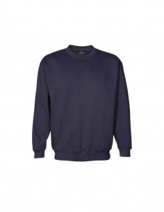 AC-CSI - Standard Crew Neck Sweat - Aurora - Teamwear 2